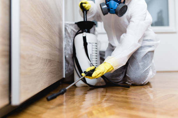 Best Pest Control Near Me in St Ansgar, IA