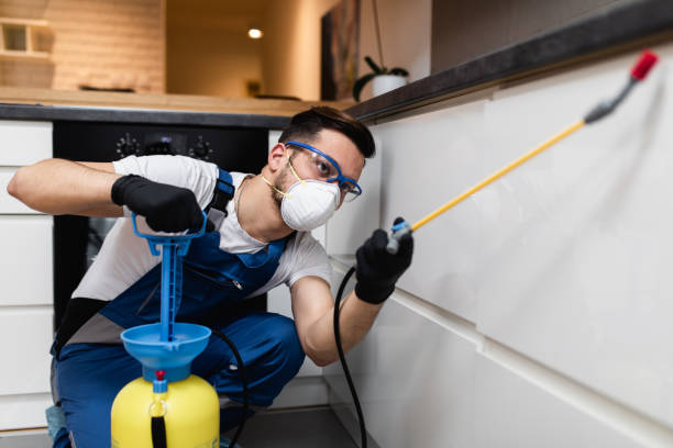 Best Wasp Removal Services  in St Ansgar, IA