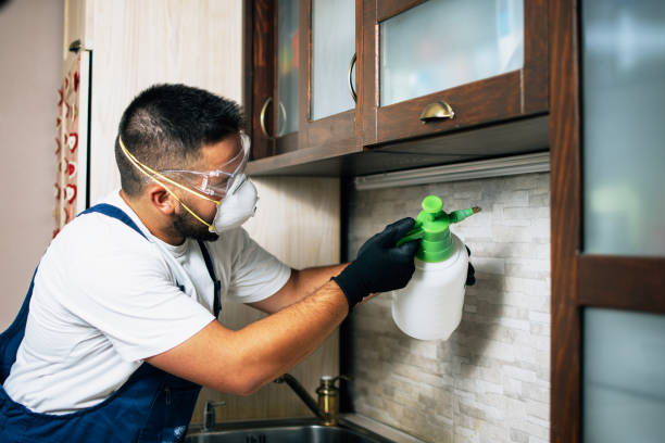Best Pest Control Near Me  in St Ansgar, IA