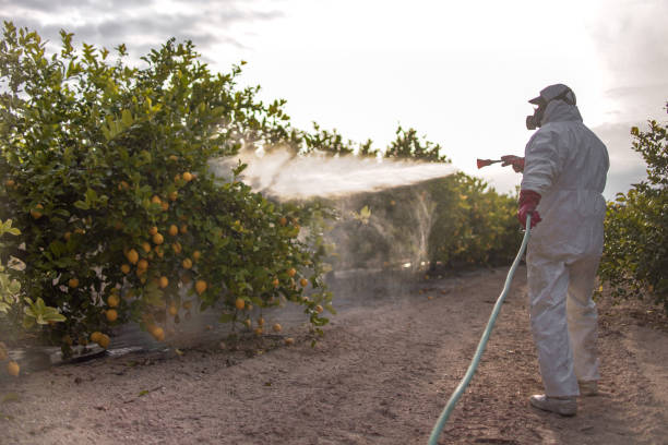 Best Pest Prevention Services  in St Ansgar, IA