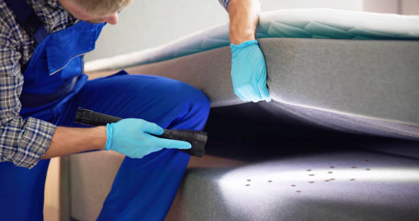 Best Residential Pest Control  in St Ansgar, IA