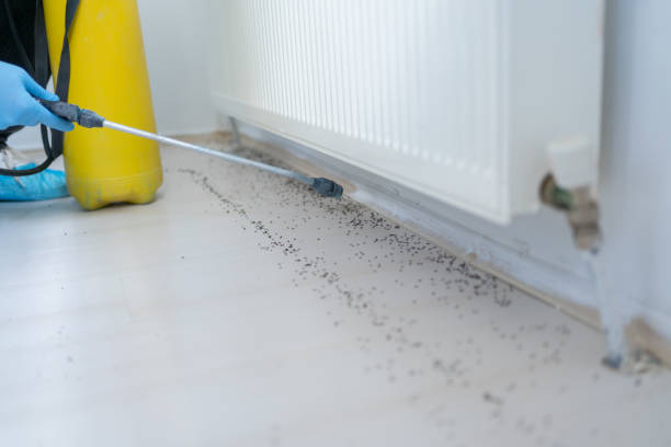 Trusted St Ansgar, IA Pest Control Experts