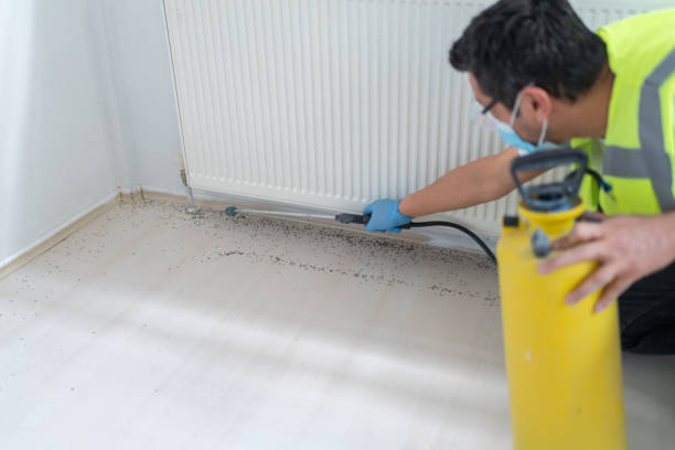 Best Exterminator Services  in St Ansgar, IA